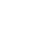 Lion Boxing MMA