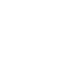 Chinese Lion