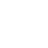 Chinese Lion