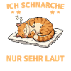 Sleeping Cat Tired Pet Cuddling