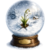 Snowdrop breaks through winter