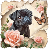 Carlin noir avec papillon