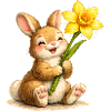Bunny with yellow spring flower