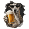 Windhund Bier