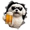 Maltese Beer