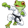 Grenouille Crapaud Tradition du Karaté au Japon
