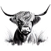 Highland Cattle Rind Illustration