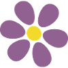 violet flower flower violet blossom