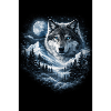 Moon wolf over snowy landscape