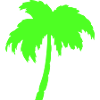 Neon palm tree silhouette on black