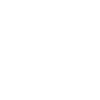 Stay Wild Skull