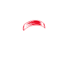 Crâne sauvage avec bandana