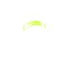 Wild trail in skull