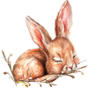 little bunny Easter