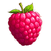 Raspberry
