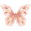 Pastel Wings Butterfly Pattern