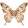 Soft Pink Butterfly Art
