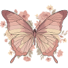 Pink Butterfly with Flowers