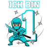 I'm 1 Ninja 1st Birthday Turquoise