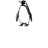 Penguins Sayings Funny Penguins Gift