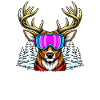 Après Ski Social Club