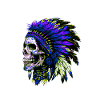 Indian Chief Skull