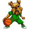 Yorkie Terrier Basketball