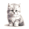 Fluffy Kitten Portrait