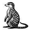 Suricate