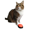 Missty je t'aime sans écriture