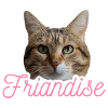 Missty friandise