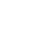 Aggressive owl in flight
