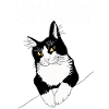 Cat Defies Authority