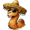 Camel Smile with Sombrero