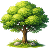 Tree in the sunlight