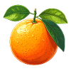 Orange (fruit)