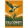 Falknerei: alt, wild, lebendig | Greifvogel