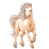 Cheval Poney