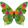 Tropical Butterfly of Leaves