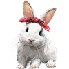 Bunny Rabbit Bow