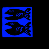 FISH. FISHING. SEA. OCEAN. STAR. HOLIDAYS