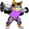 Fitness Cats