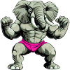 Strong elephant