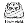 Grumpycat: Not today