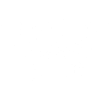 Skull and white butterfly