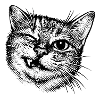 Funny Cat – Winking Halftone Motif
