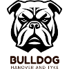 Bulldog Dog