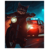 Night Cat on Motorcycle Noir