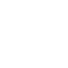 Professional Dry Cleaner
