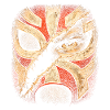Lucha Libre Luchador